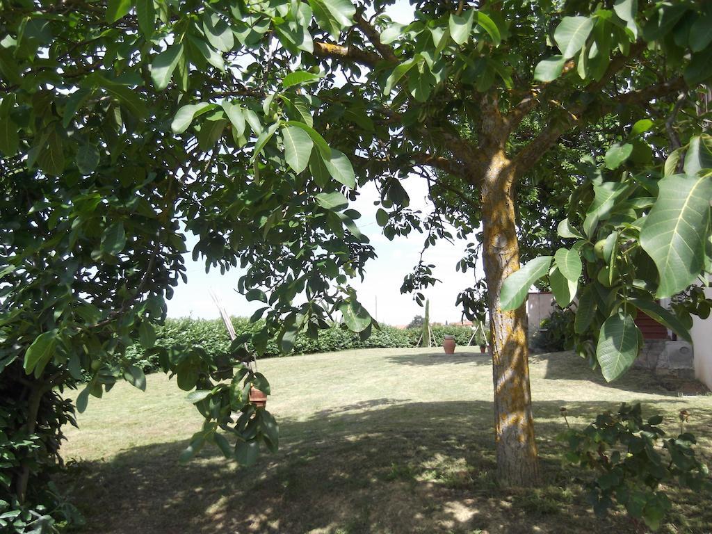 Agriturismo Le Caselle Cerbaia Pokój zdjęcie