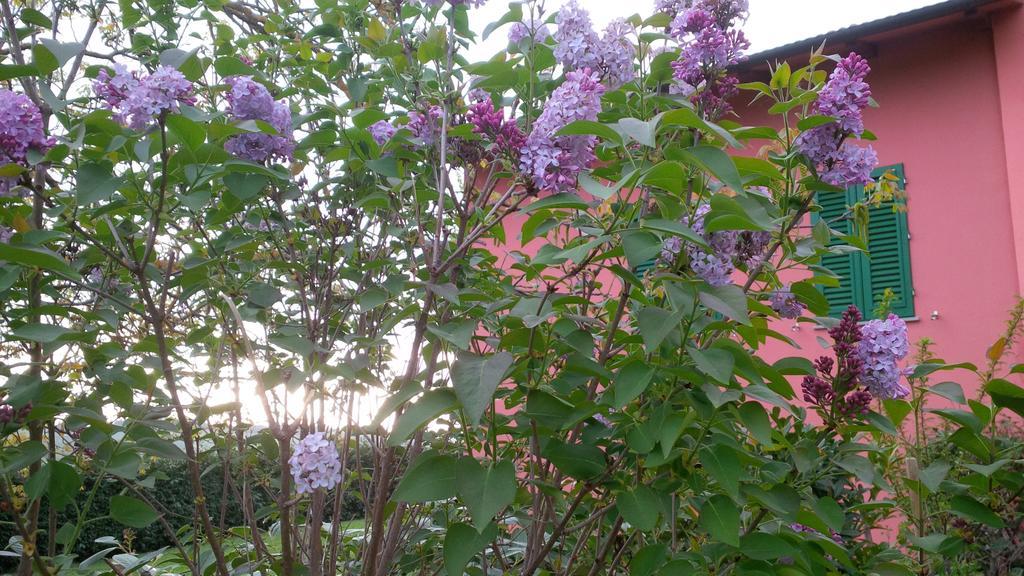 Agriturismo Le Caselle Cerbaia Zewnętrze zdjęcie